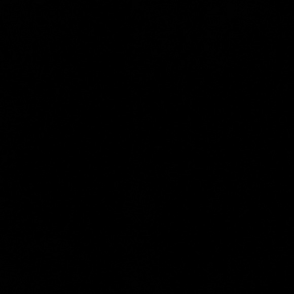 Meet your Posher, Tyrone - Picture 1 of 1